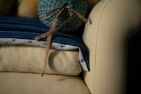 Heavy Recycled Cotton - Dungeness Stripe