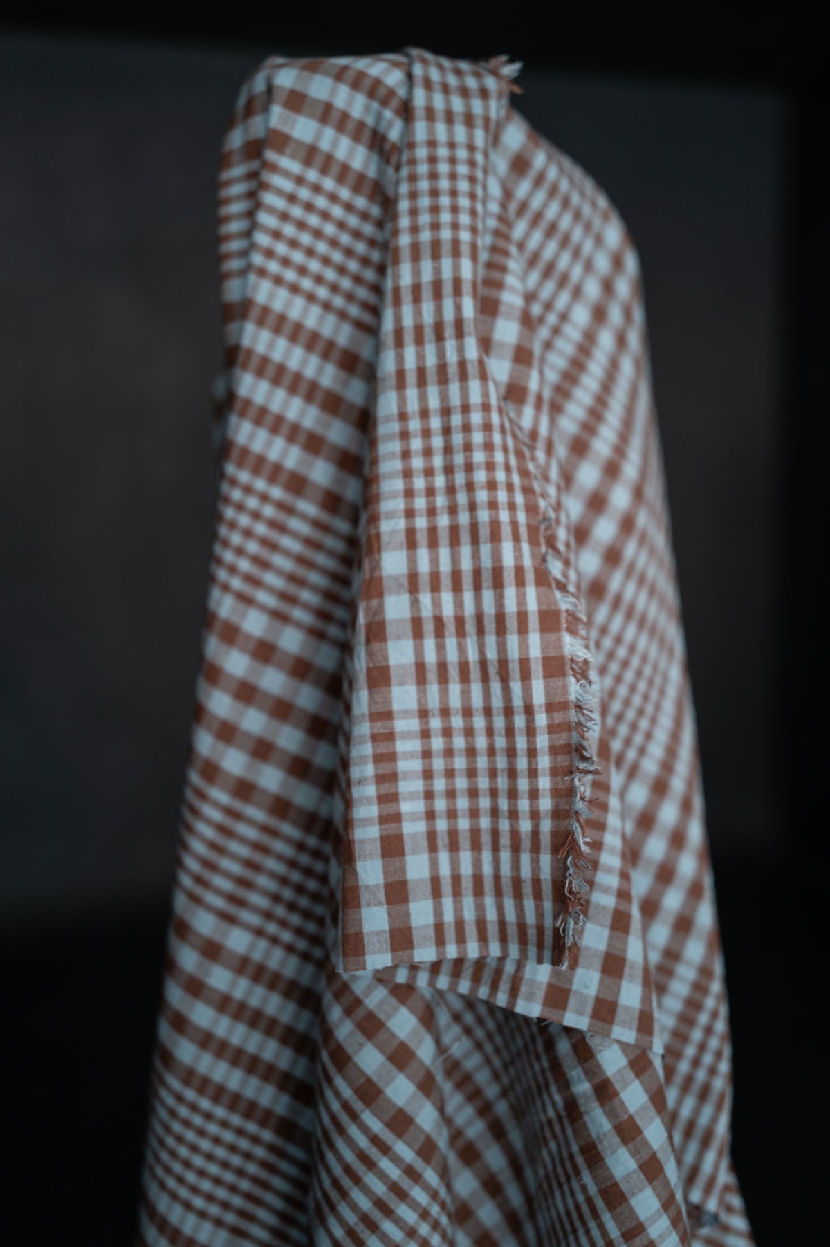 Remnant (Organic Cotton/Linen Frankie Check)