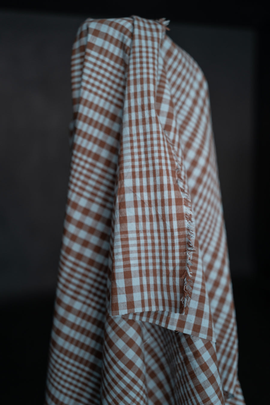Remnant (Organic Cotton/Linen Frankie Check)