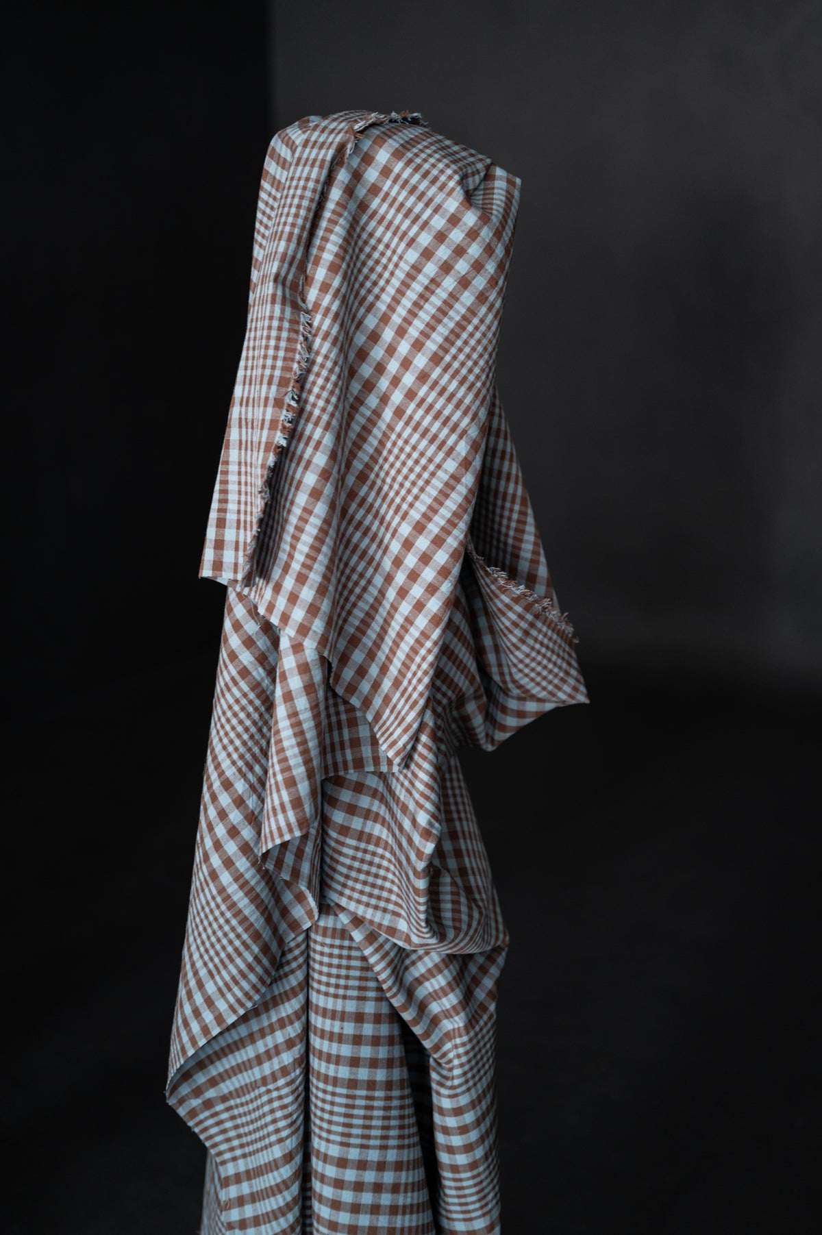Remnant (Organic Cotton/Linen Frankie Check)