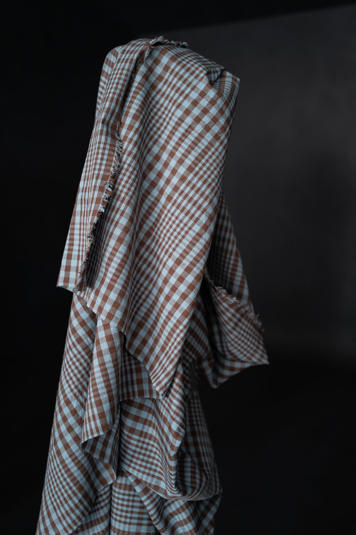 Remnant (Organic Cotton/Linen Frankie Check)