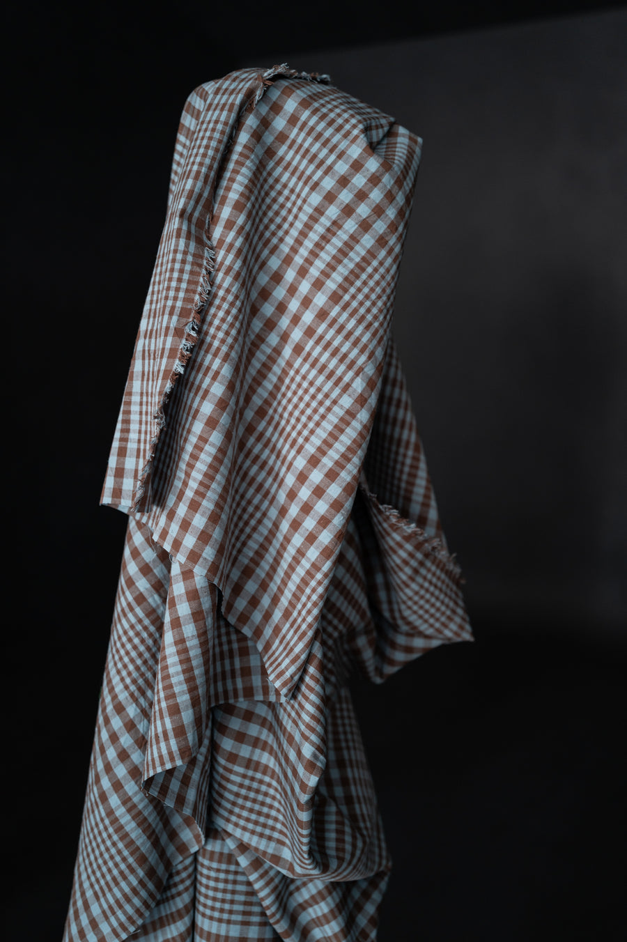 Remnant (Organic Cotton/Linen Frankie Check)