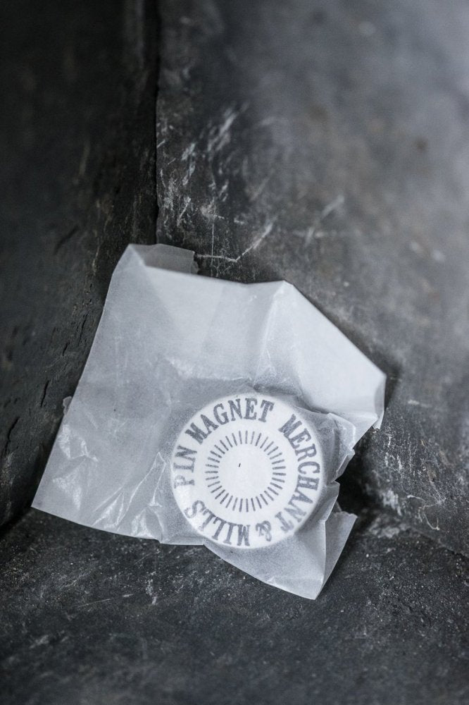 Pin Magnet