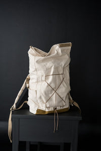 The Francli Day Pack PDF