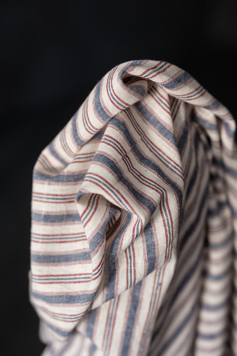Indian Organic Cotton - Edwin