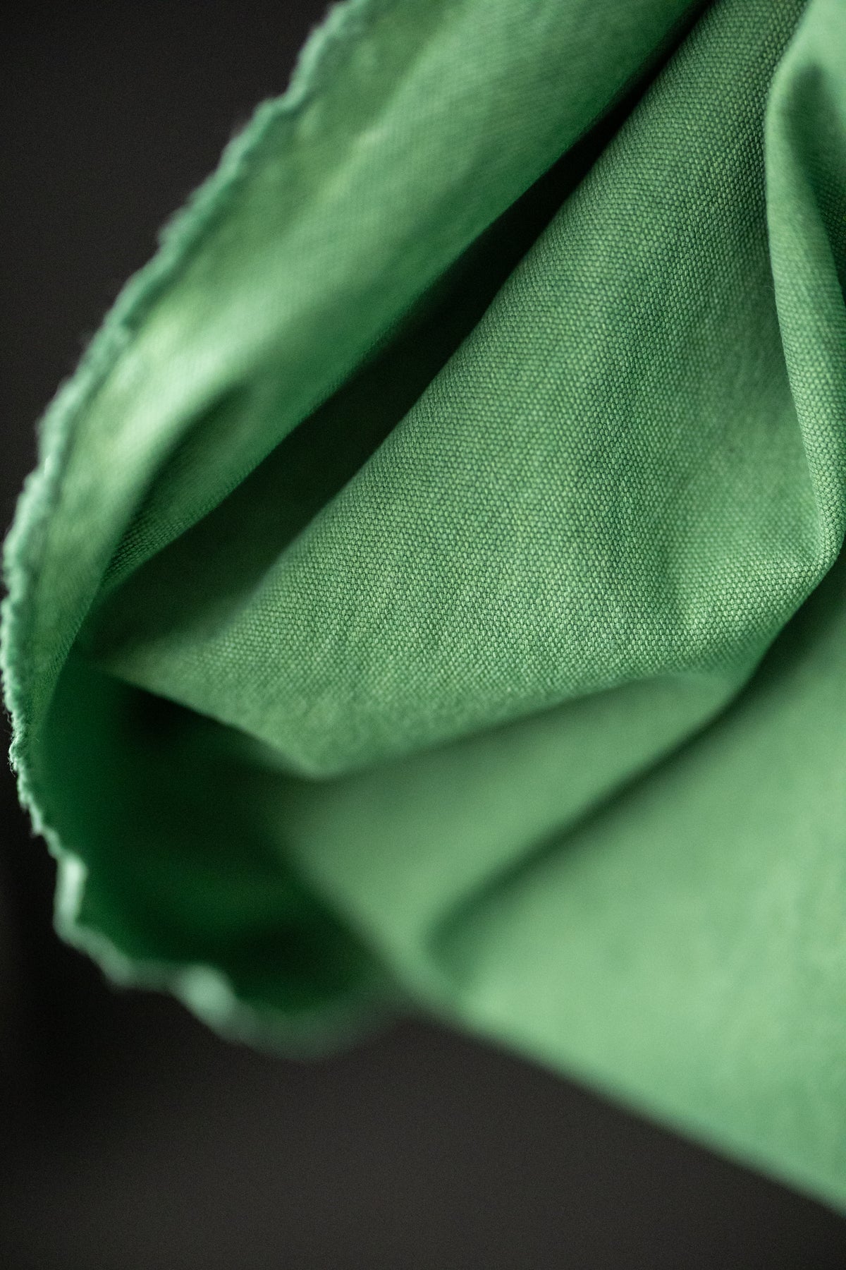 Stonewashed Canvas - Le Toy Green